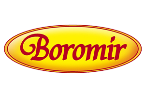 Logo Boromir
